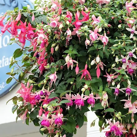 Bed & Breakfast Kirkgate House Knaresborough