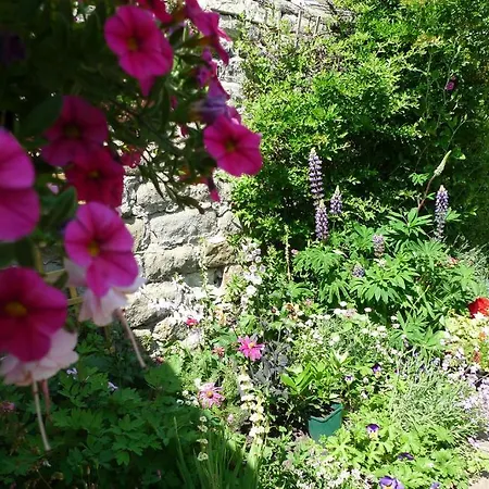 Kirkgate House Bed and breakfast
